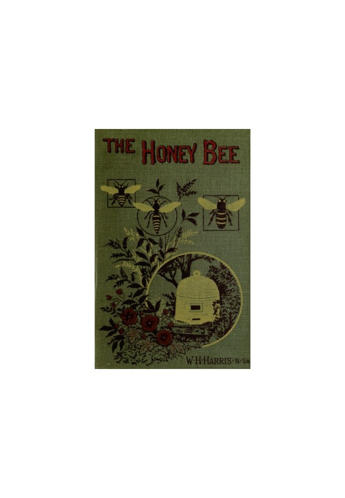 The honey-bee: its nature, homes and products