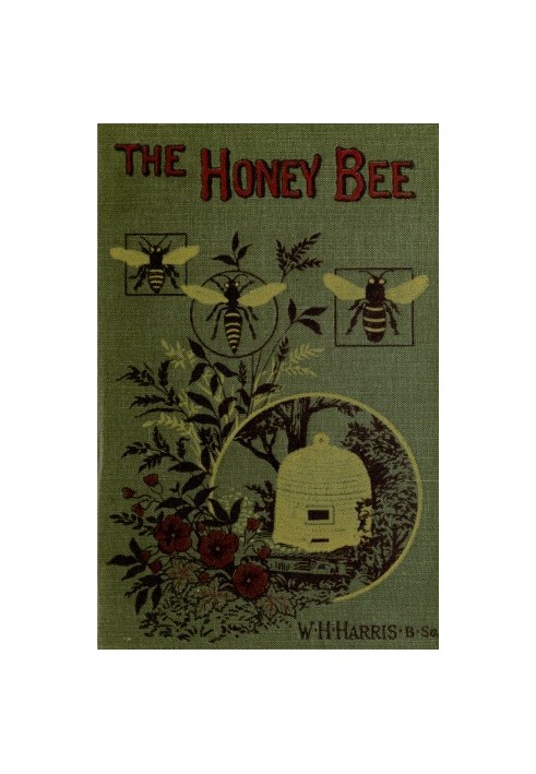 The honey-bee: its nature, homes and products