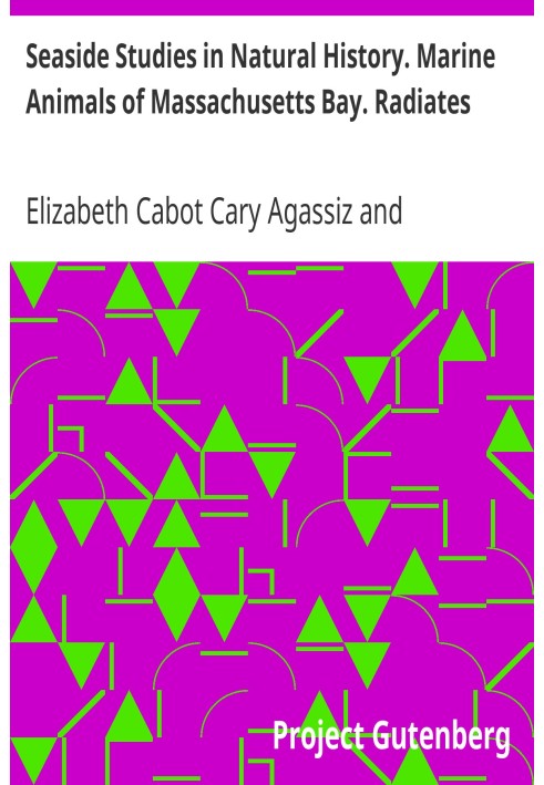 Приморські дослідження в природничій історії. Морські тварини Массачусетської затоки. Випромінює.