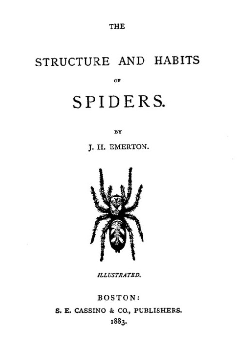 The Structure and Habits of Spiders