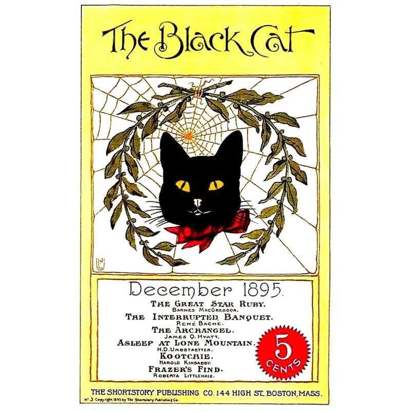 The black cat (vol. I, no....