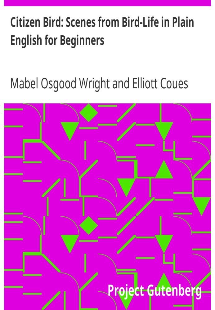 Гражданин Птица: сцены из жизни птиц на простом английском языке для начинающих