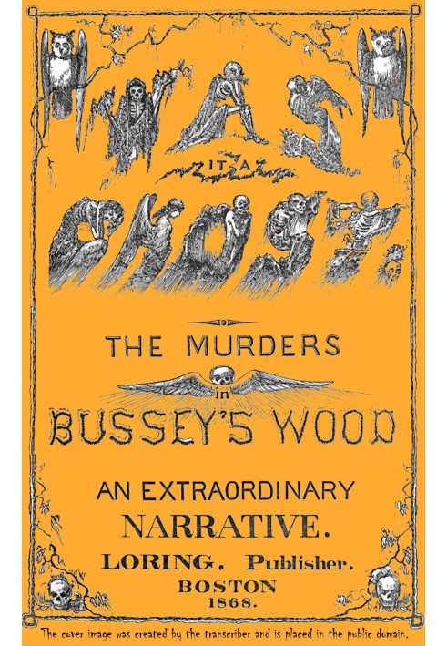 Was it a ghost? The murders in Bussey's wood : $b An extraordinary narrative