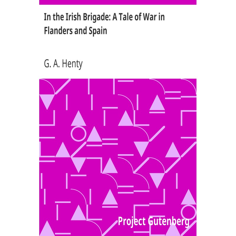 In the Irish Brigade: A...