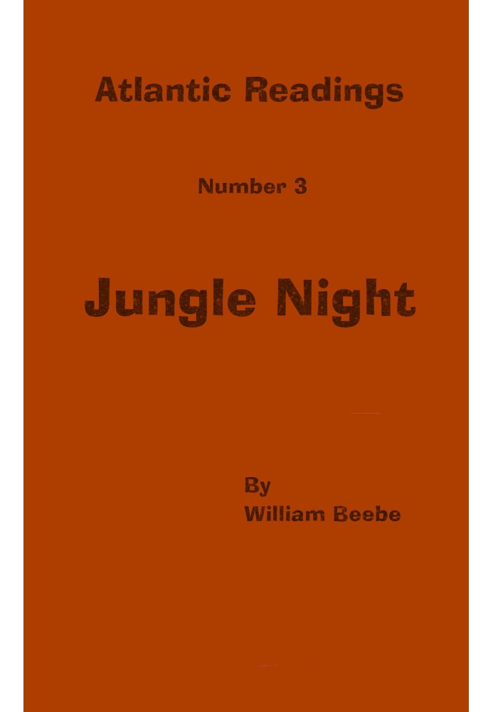 Jungle night