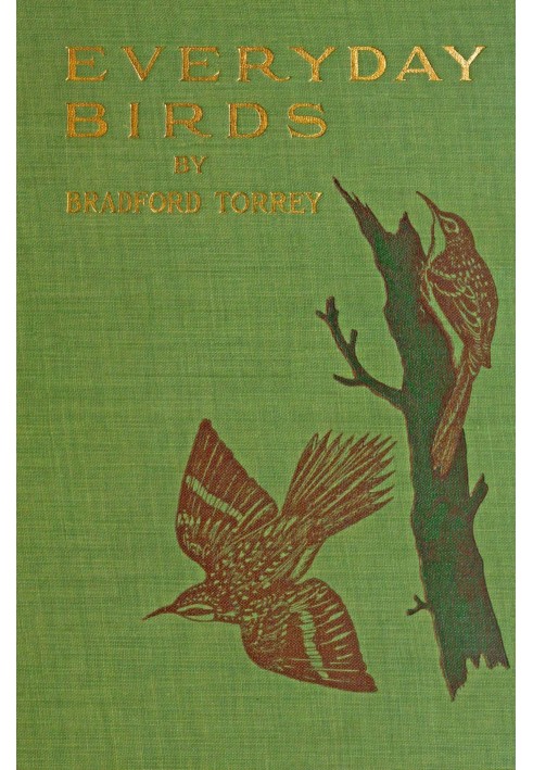 Everyday birds: Elementary studies