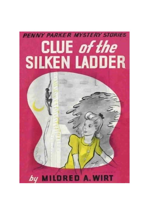 Clue of the Silken Ladder