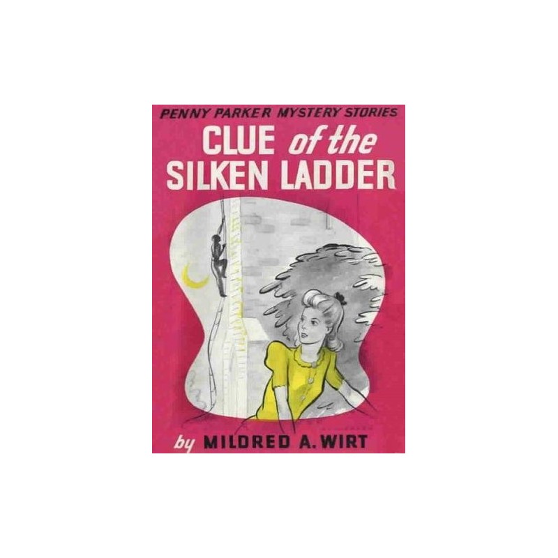 Clue of the Silken Ladder