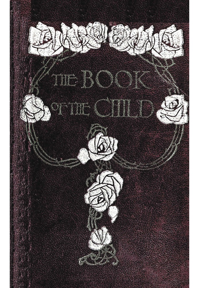 The book of the child: An attempt to set down what is in the mind of children