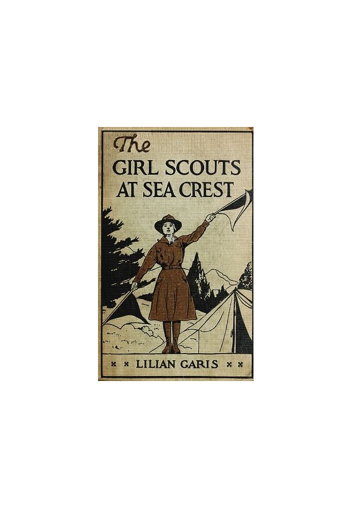 The Girl Scouts at Sea Crest; Або Wig Wag Rescue