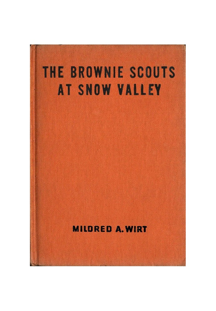 The Brownie Scouts at Snow Valley