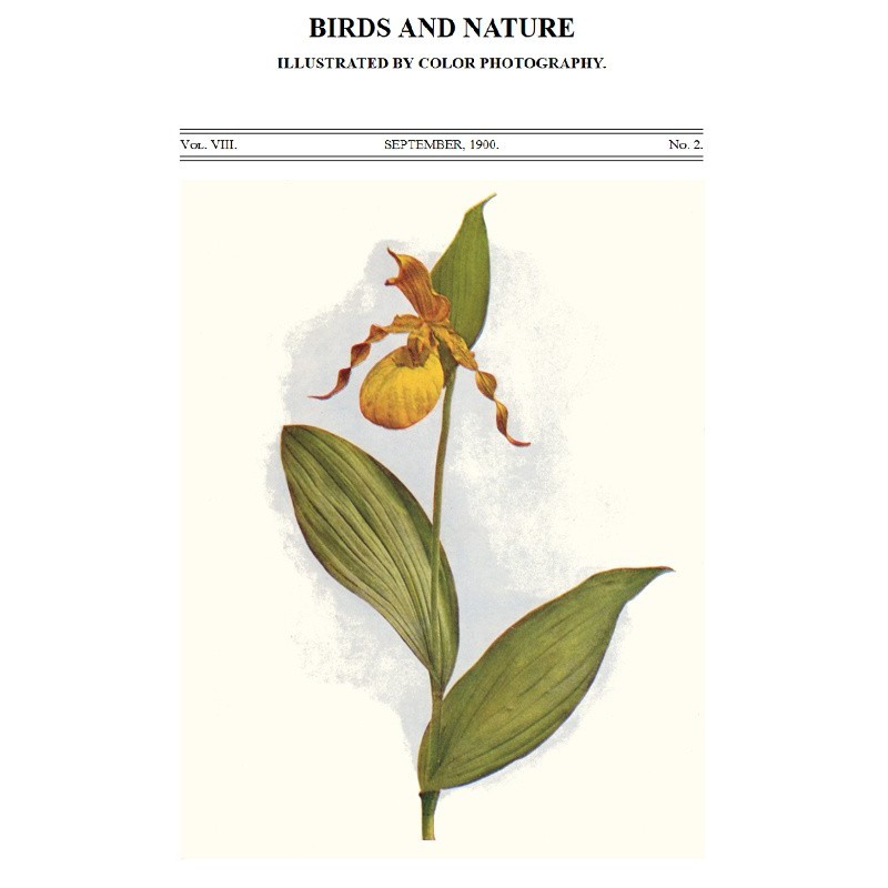 Birds and Nature, Vol. 08,...