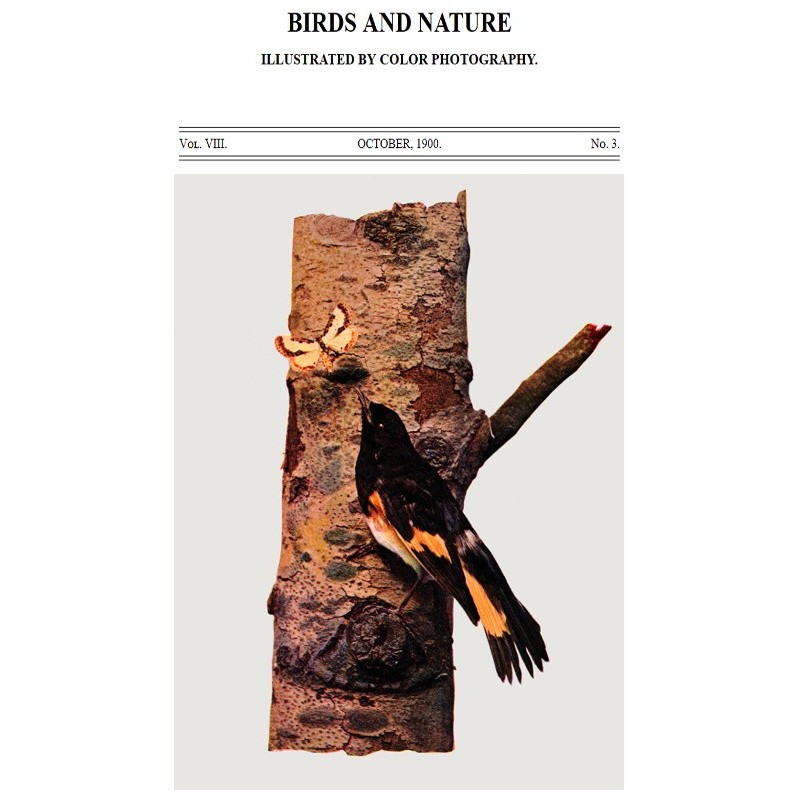 Птицы и природа Том. 08, №...