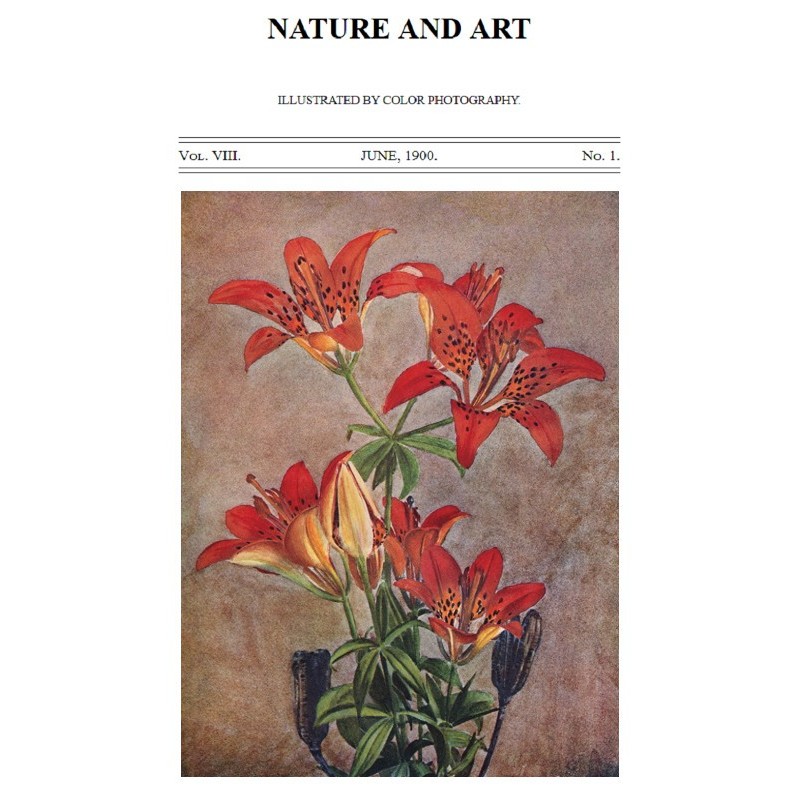 Birds and Nature, Vol. 08,...