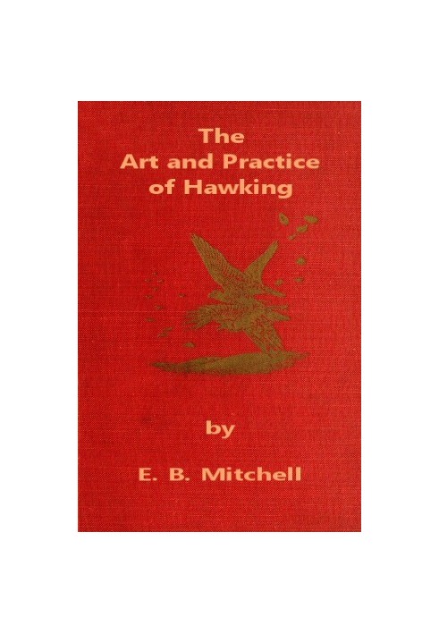 The Art and Practice of Hawking