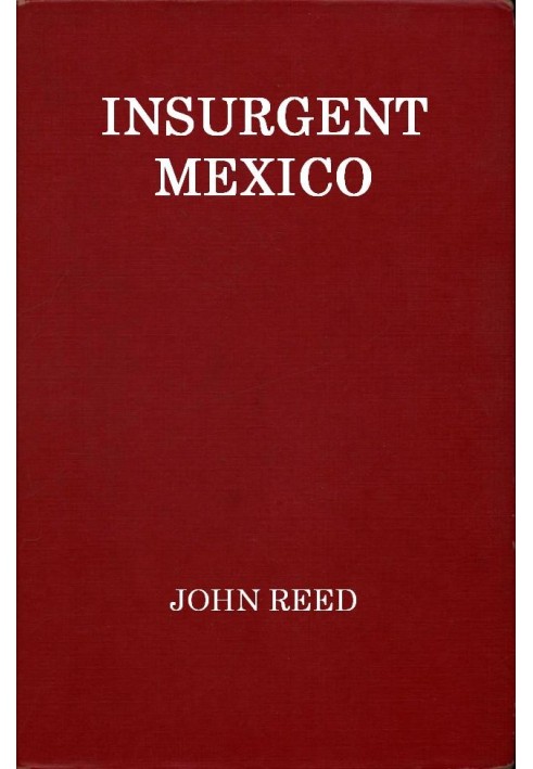 Insurgent Mexico