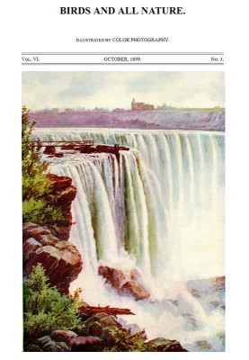 Birds and All Nature, Vol. 6, No. 3, October 1899 Illustrated by Color Photography