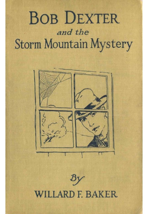 Bob Dexter and the Storm Mountain Mystery; or, The Secret of the Log Cabin