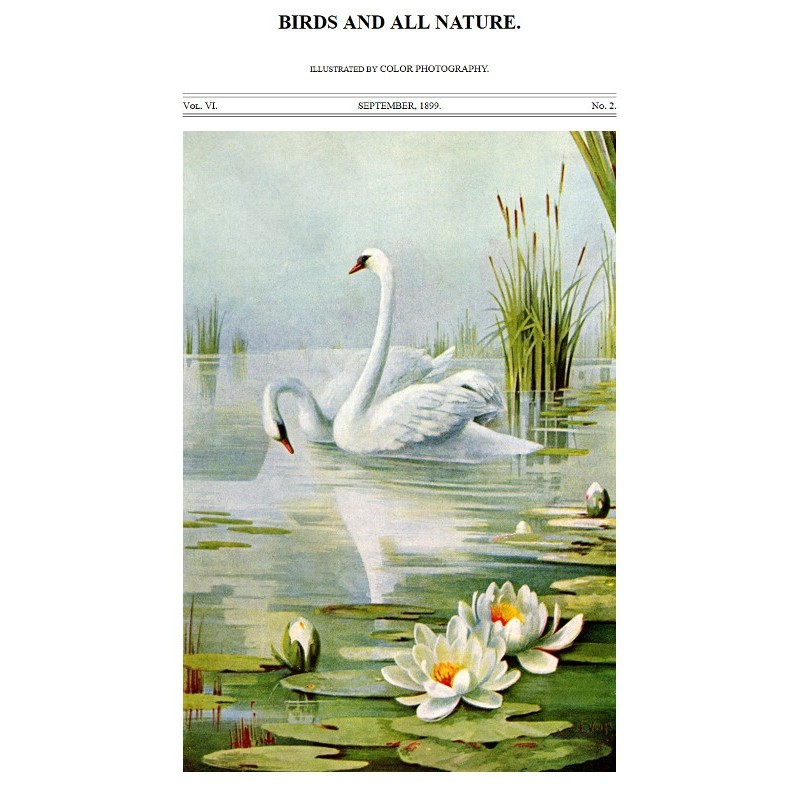 Birds and All Nature, Vol....