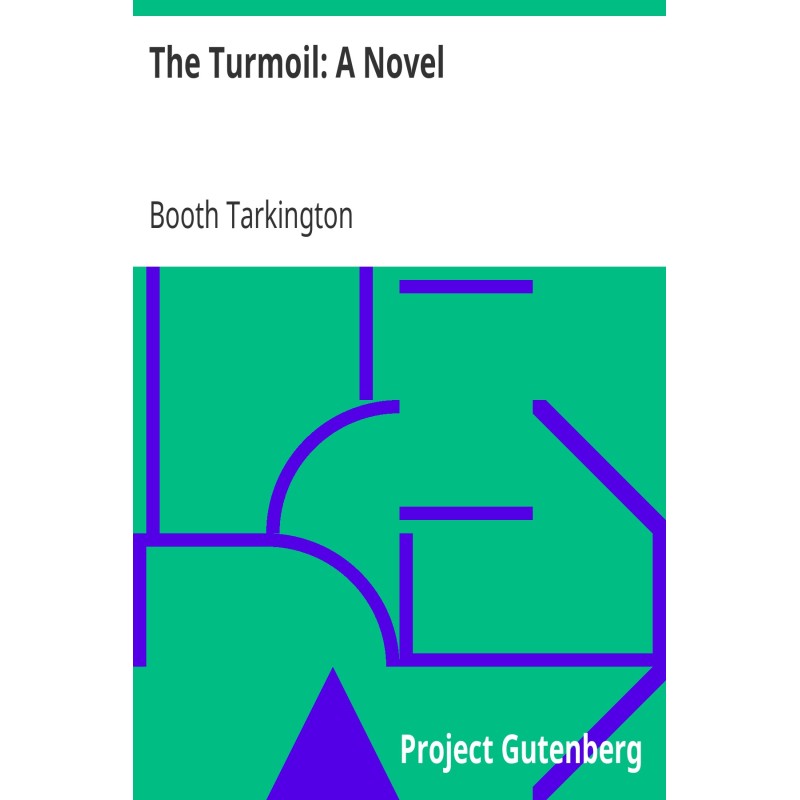 The Turmoil: A Novel