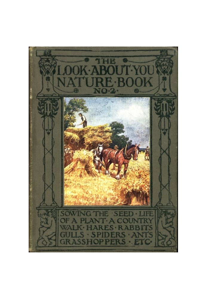 The 'Look About You' Nature Study Books, Book 2 [of 7]