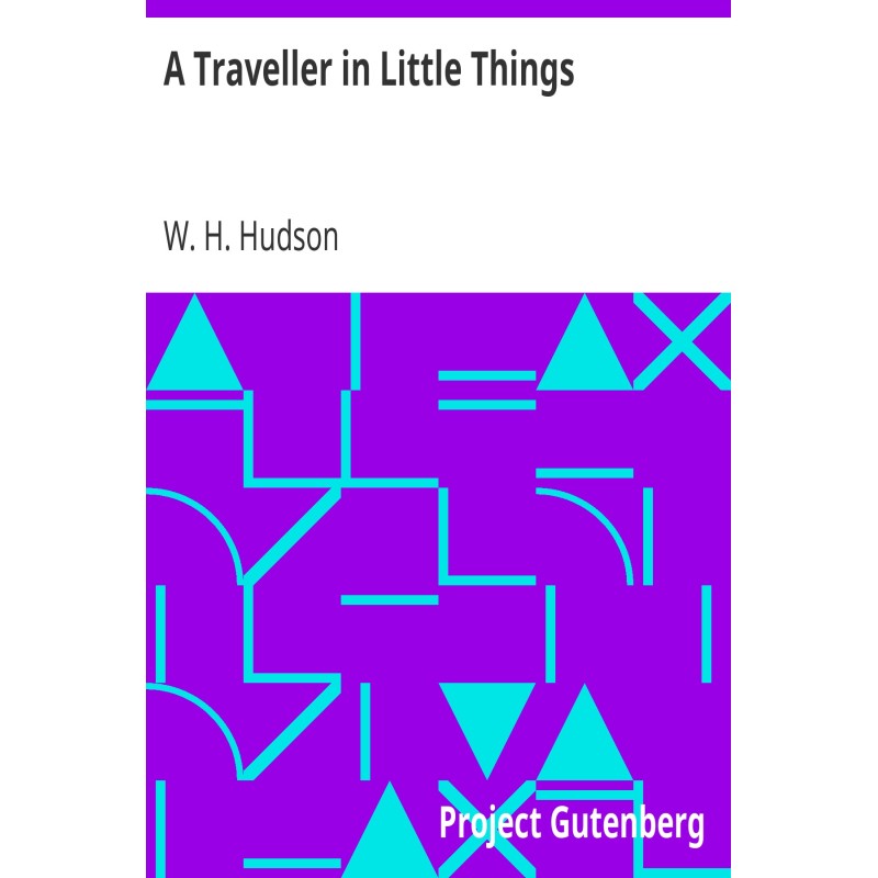 A Traveller in Little Things