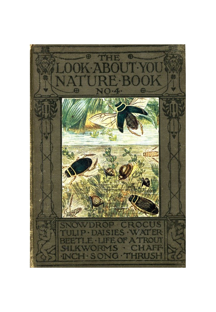 The 'Look About You' Nature Study Books, Book 4 [of 7]