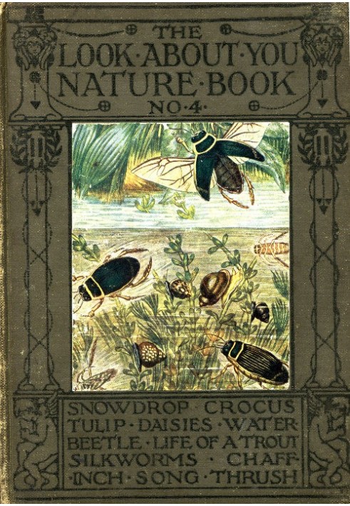 The 'Look About You' Nature Study Books, Book 4 [of 7]