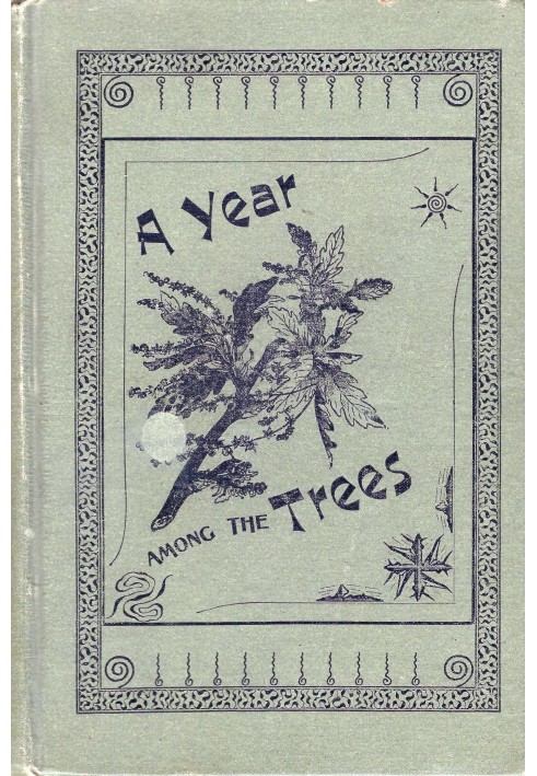 A year among the trees : $b or, the woods and by-ways of New England