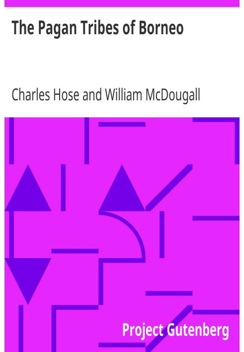 The Pagan Tribes of Borneo A Description of Their Physical Moral and Intellectual Condition, with Some Discussion of Their Ethni