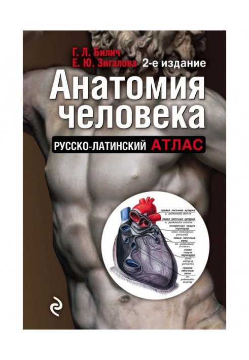 Anatomy of man. Russian-Latin atlas