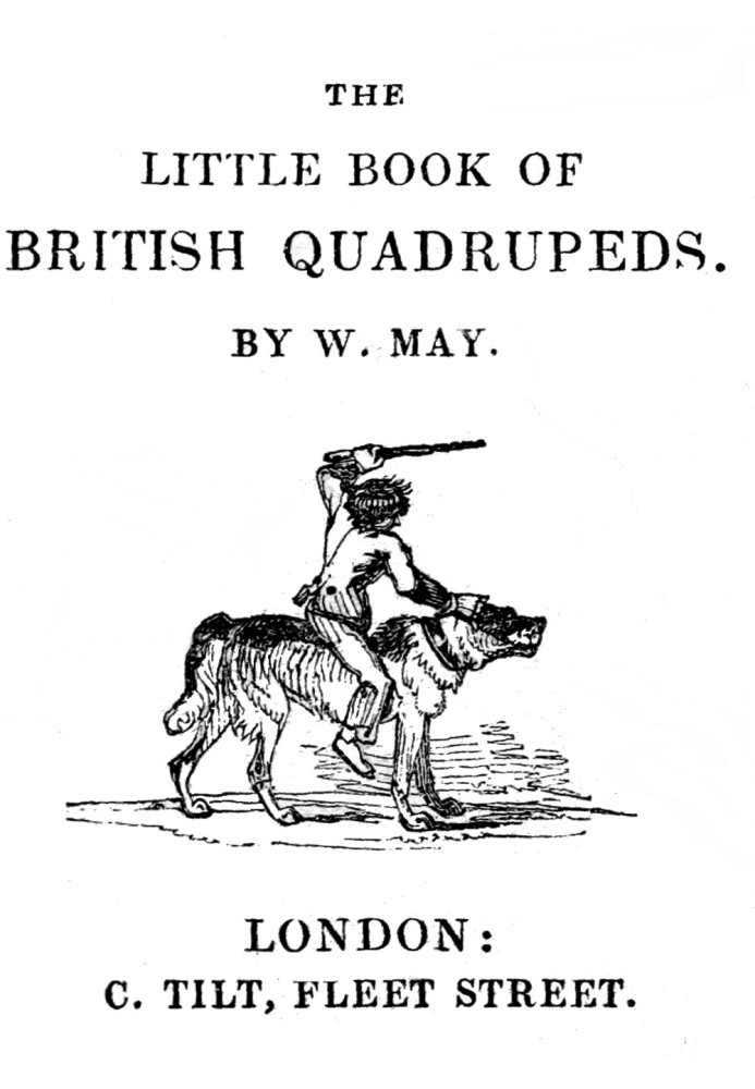 The little book of British quadrupeds