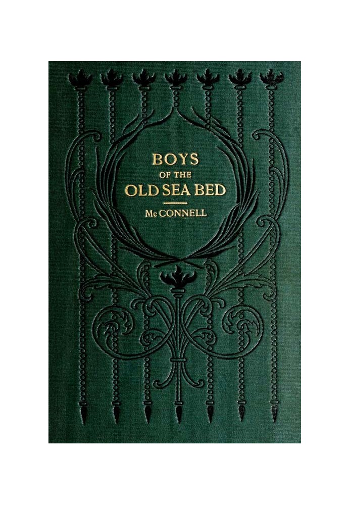 Boys of the Old Sea Bed: Tales of Nature and Adventure