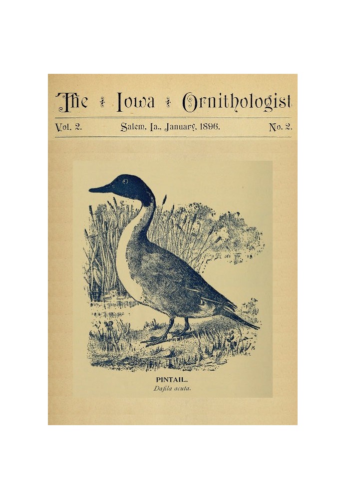 The Iowa Ornithologist, Volume 2, No. 2, January 1896 For the Student of Birds