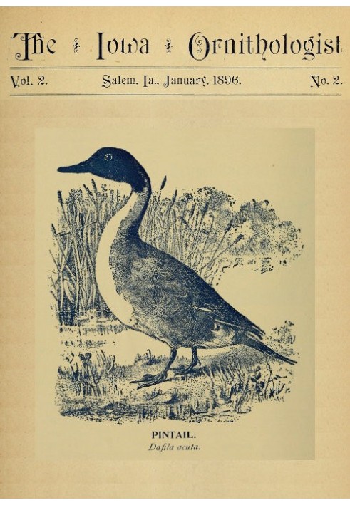 The Iowa Ornithologist, Volume 2, No. 2, January 1896 For the Student of Birds