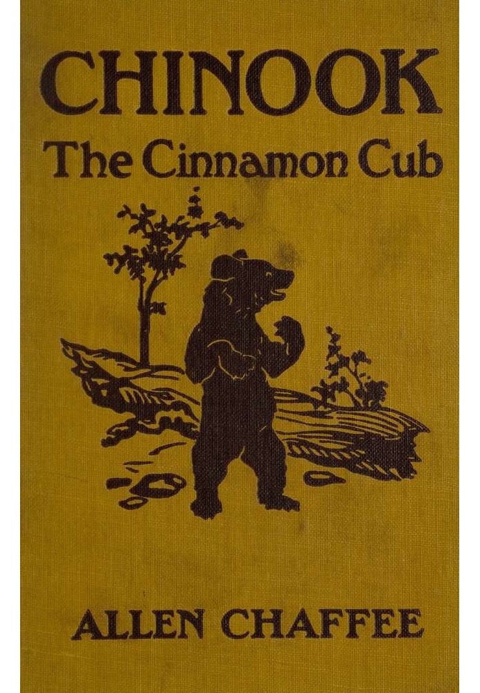 Chinook, the Cinnamon Cub