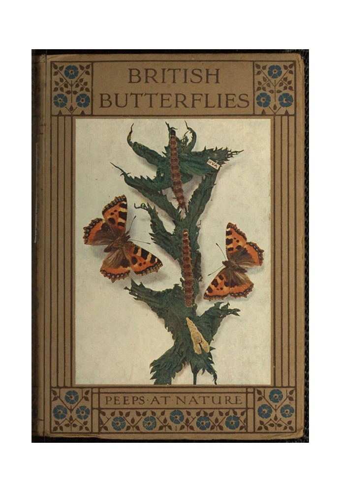 British Butterflies