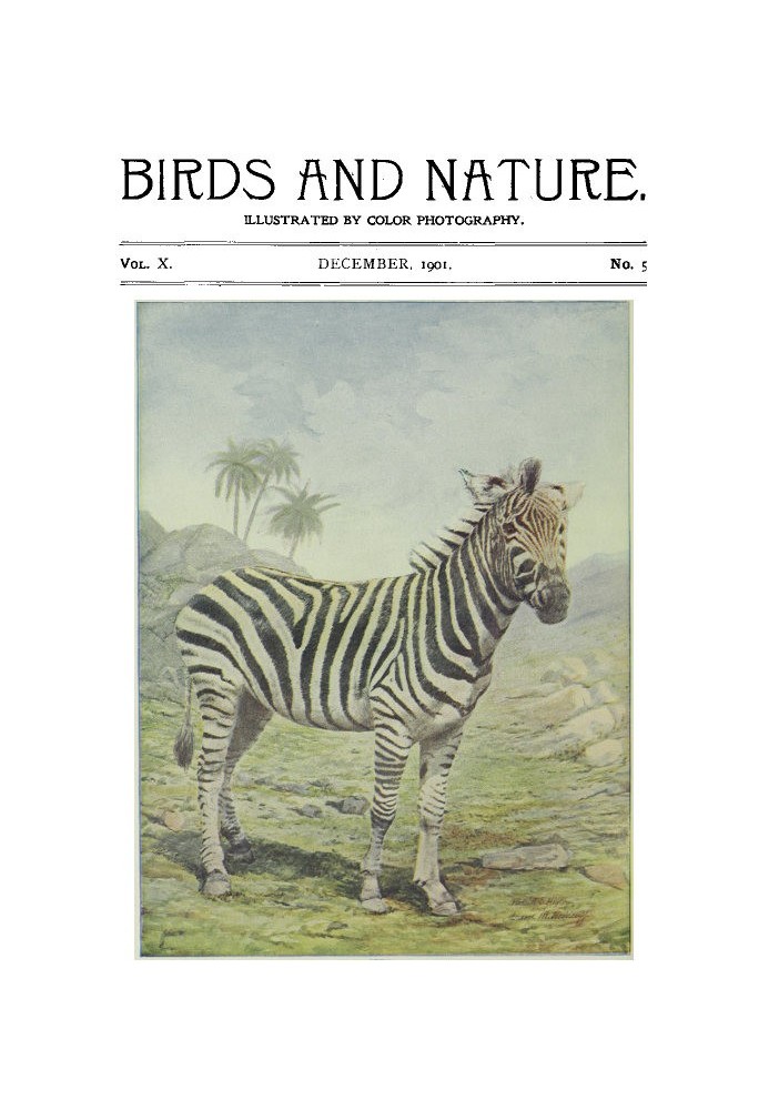 Birds and Nature Vol. 10 No. 5 [December 1901]