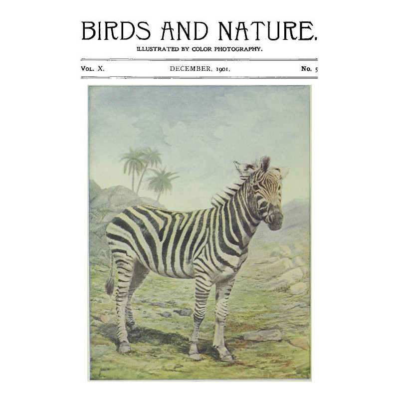 Birds and Nature Vol. 10...