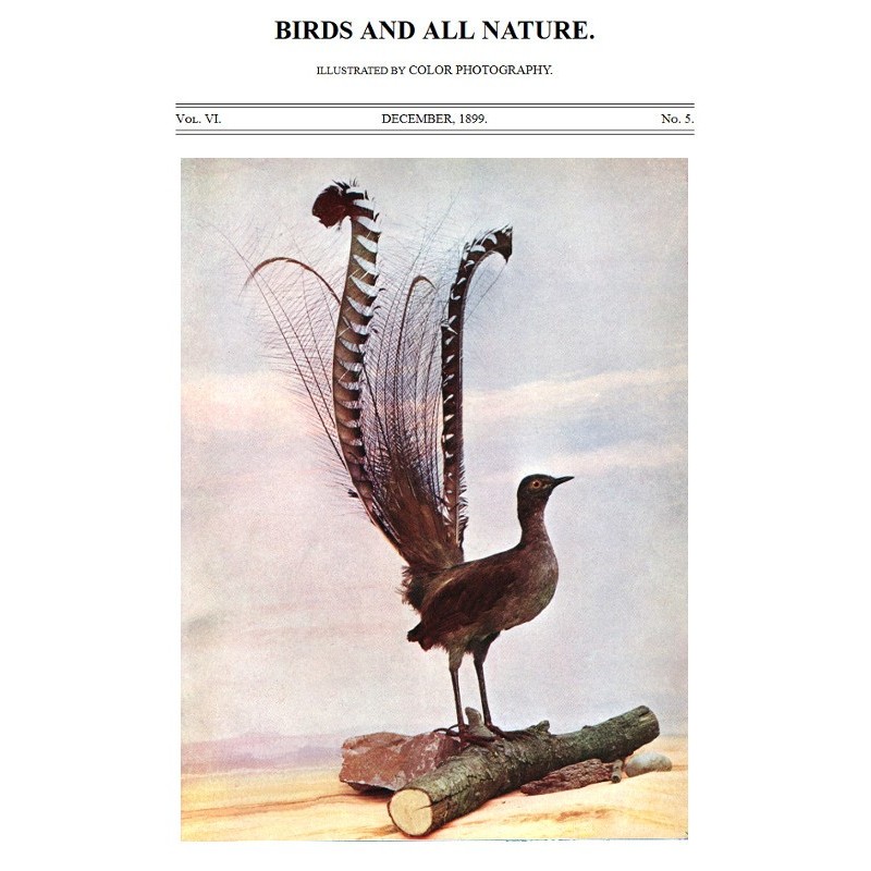 Птицы и вся природа, Том....