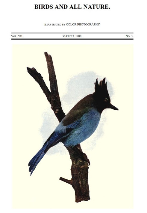 Birds and All Nature, Vol 7, No. 3, March 1900 Illustrated by Color Photography