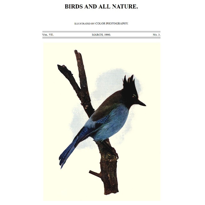 Birds and All Nature, Vol...
