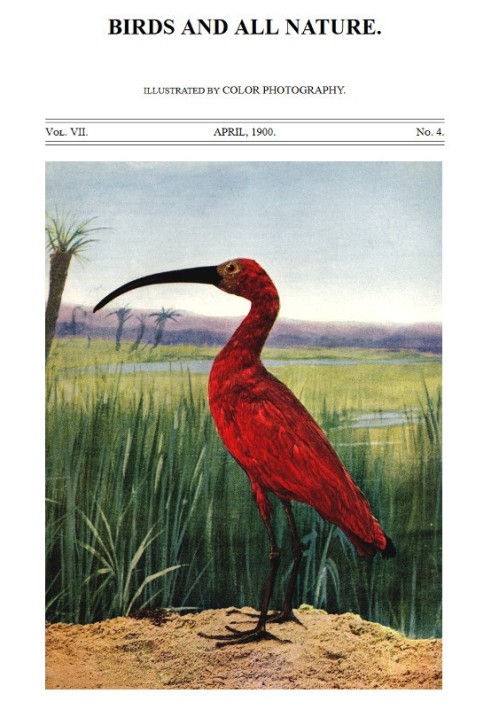 Birds and All Nature, Vol. 7, No. 4, April 1900