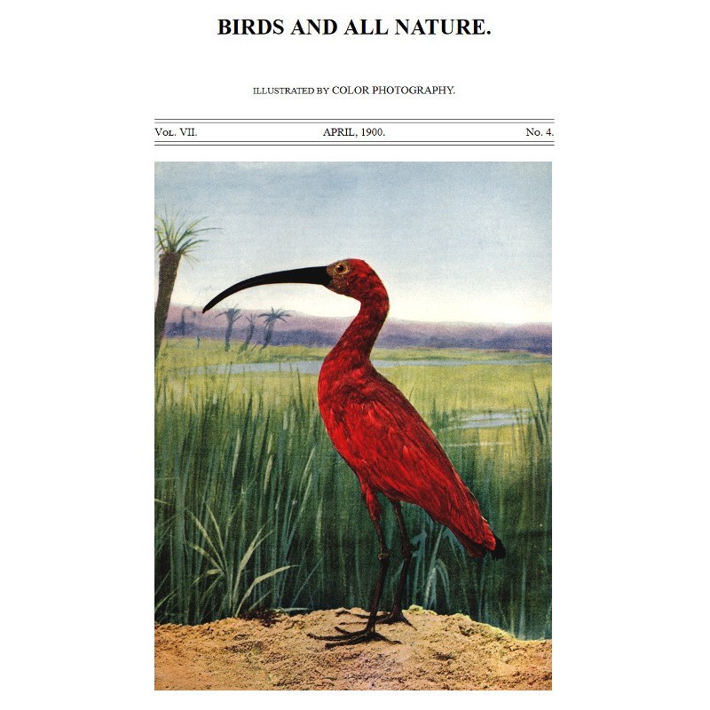 Birds and All Nature, Vol....