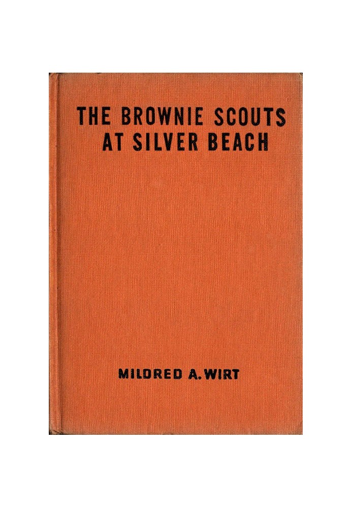 The Brownie Scouts at Silver Beach