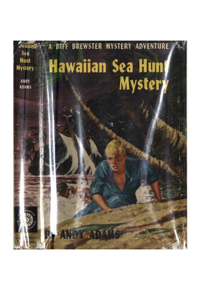 Hawaiian Sea Hunt Mystery