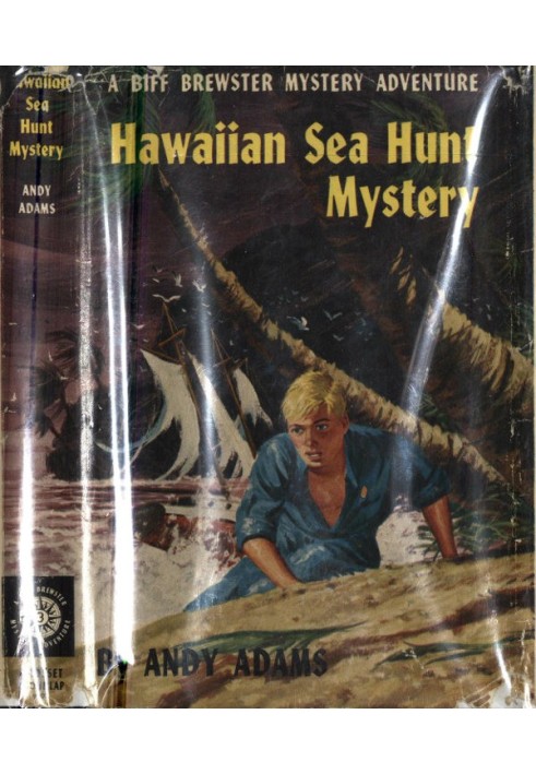 Hawaiian Sea Hunt Mystery