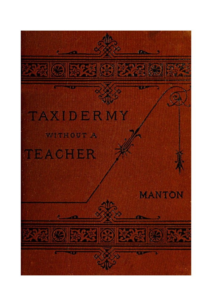 Taxidermy without a Teacher Comprising a Complete Manual of Instruction for Preparing and Preserving Birds, Animals and Fishes