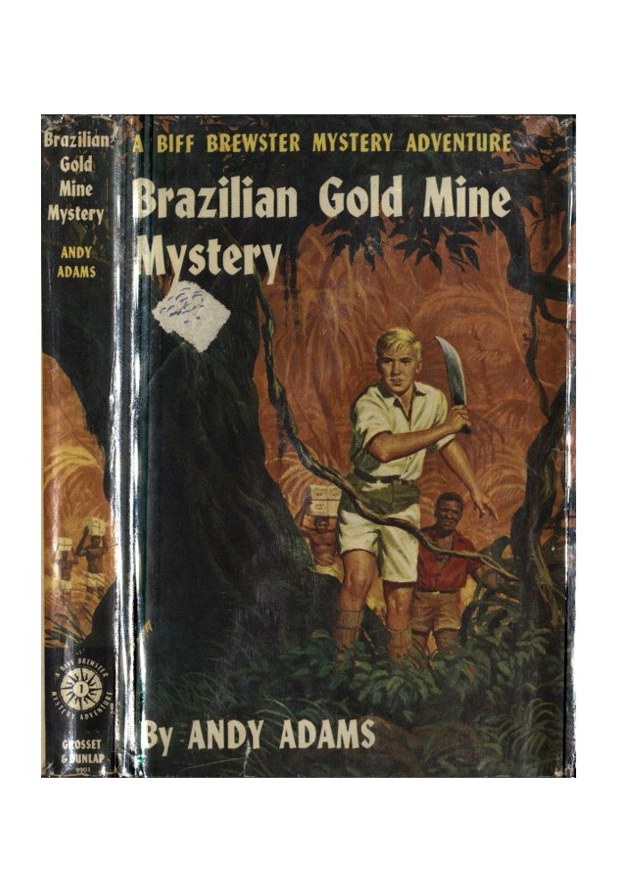 Brazilian Gold Mine Mystery