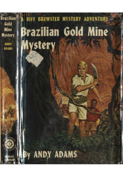 Brazilian Gold Mine Mystery